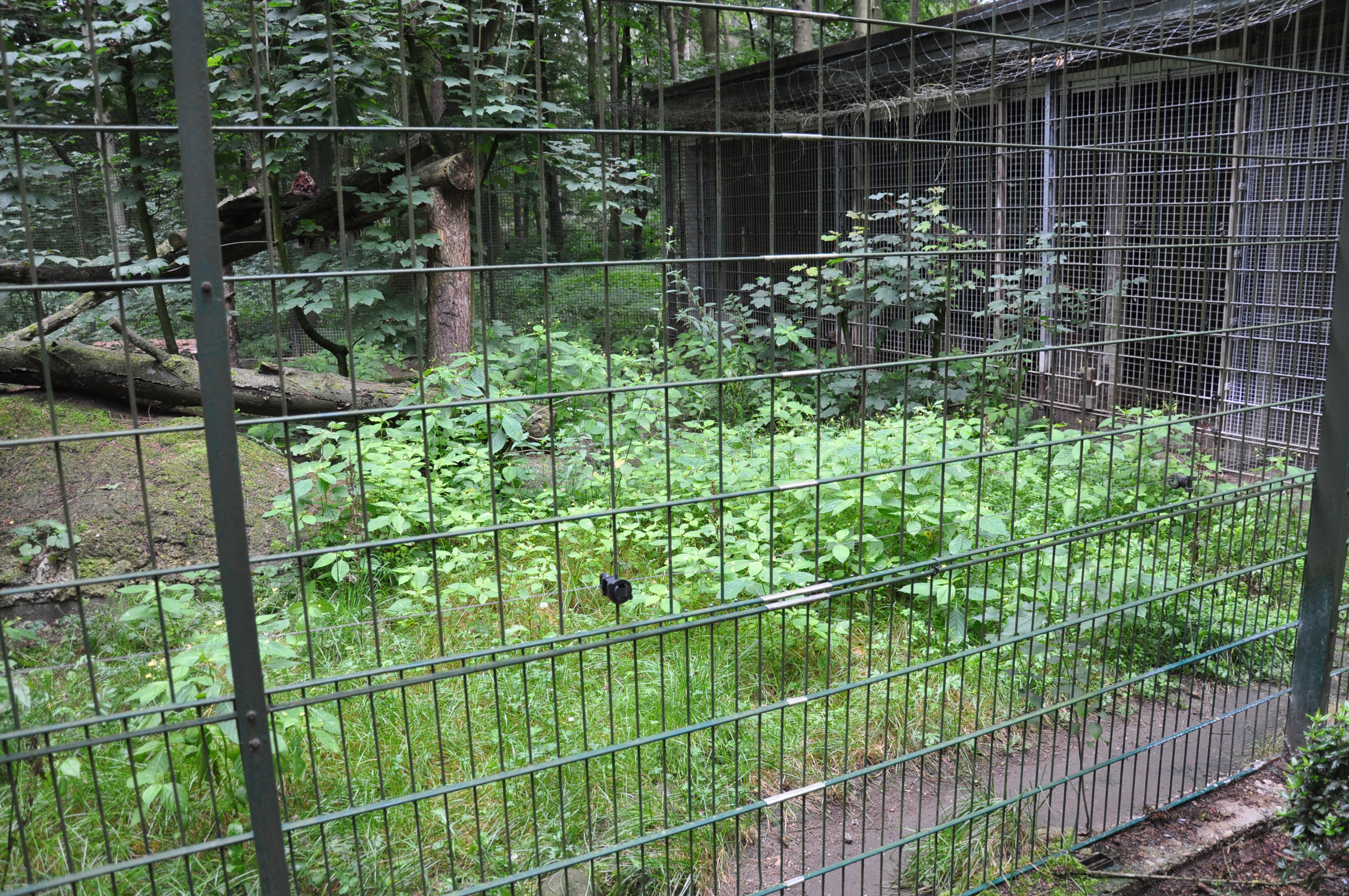 Bild 4 Tierparkvereinigung Neumünster e.V. in Neumünster