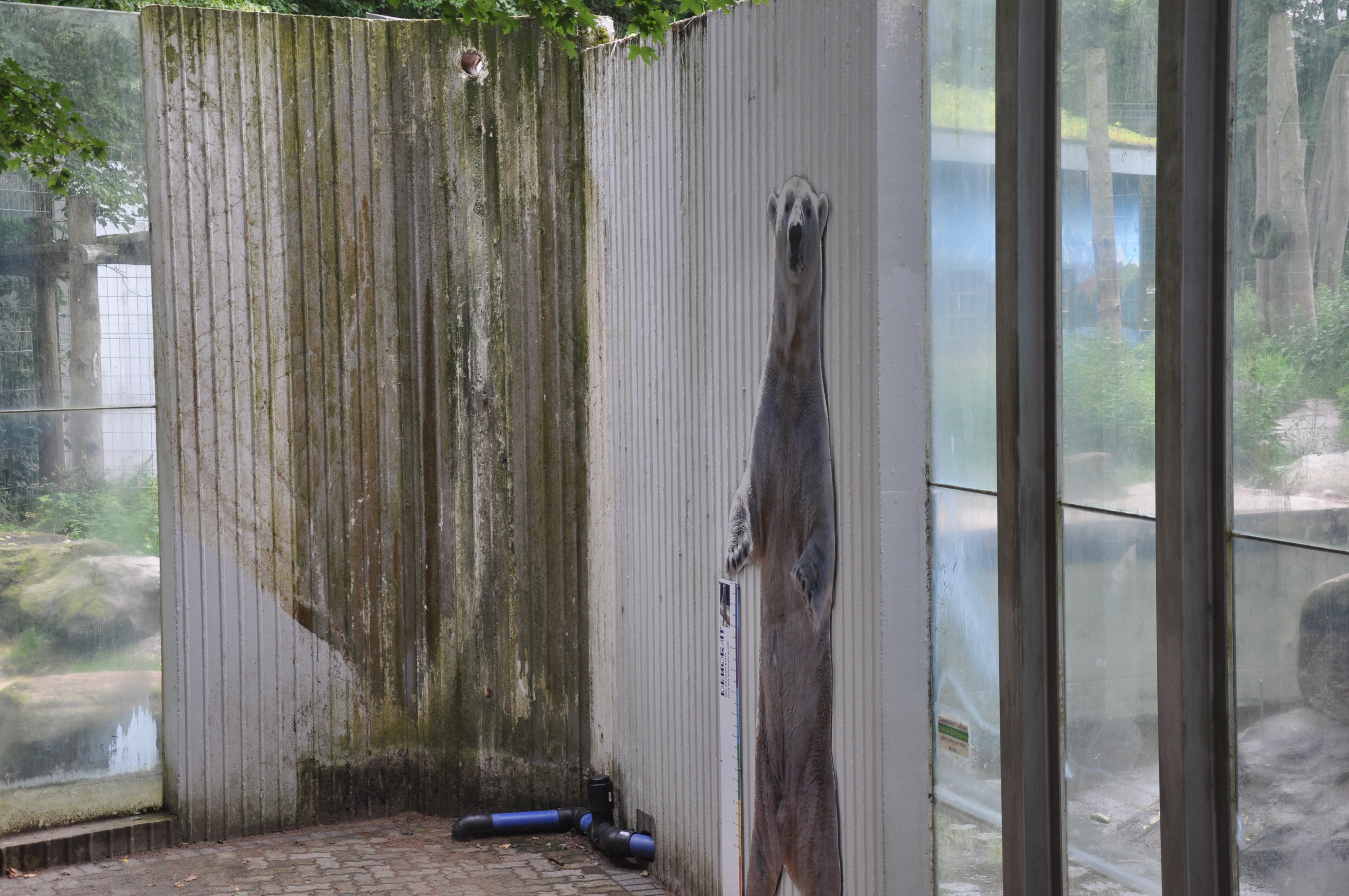 Bild 12 Tierparkvereinigung Neumünster e.V. in Neumünster