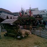 Weihnachtsmarkt Ulm in Ulm an der Donau