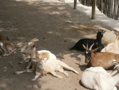 Nutzerbilder Karlsruher Zoo