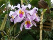 Nutzerbilder Café im Botanischen Garten