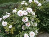 Nutzerbilder Café im Botanischen Garten