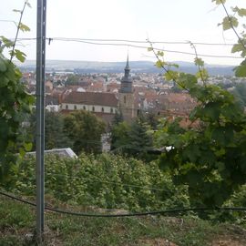 Blick vom Schloß zur Stadt Vaihingen