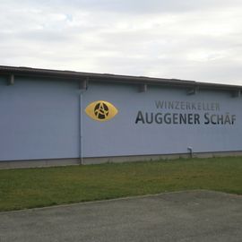 Winzerkeller Auggener Schäf eG in Auggen