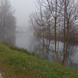 Nebel am Fluss 