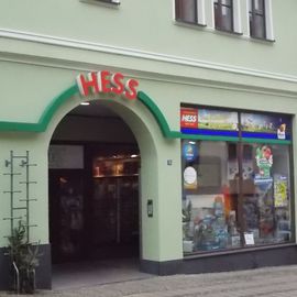 Spielzeug Hess in Sangerhausen