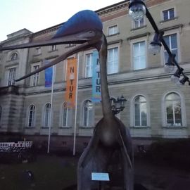 Staatliches Museum für Naturkunde in Karlsruhe
