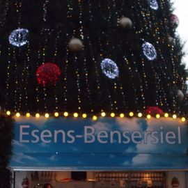 zentraler Platz am Baum, leider gab es nur Schnaps