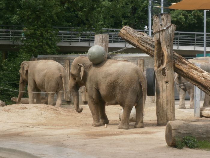 Nutzerbilder Karlsruher Zoo