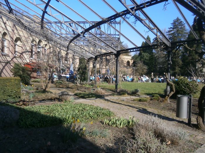 Nutzerbilder Badische Weinstube Im Schloßgarten