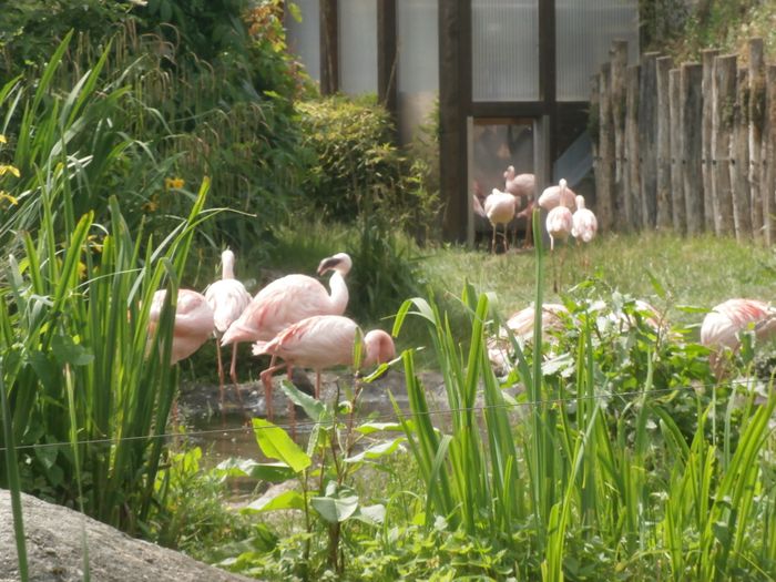 Nutzerbilder Karlsruher Zoo