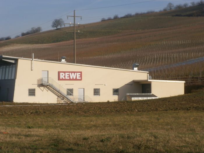 mitten in die Weinberge reingebaut.