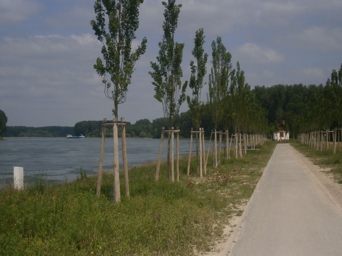 beim Lokal gelegener Spazierweg am Rhein