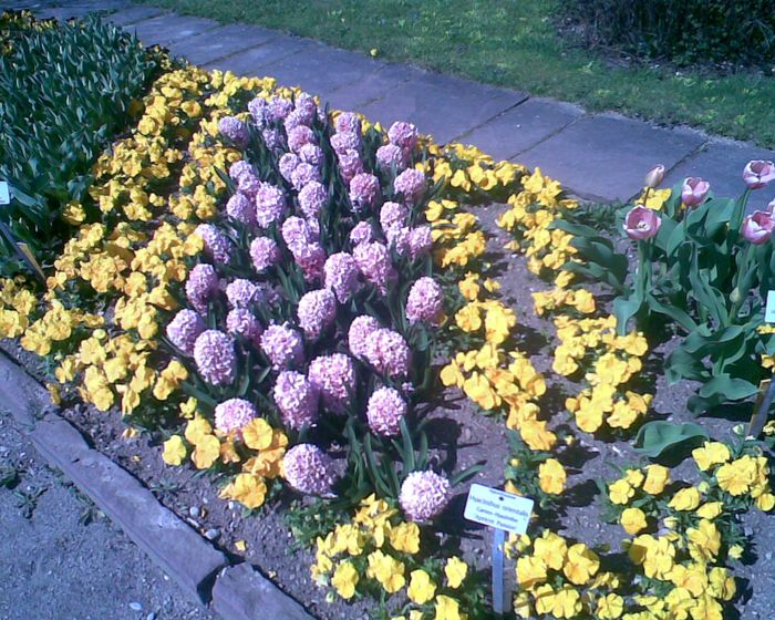 Nutzerbilder Botanischer Garten München-Nymphenburg