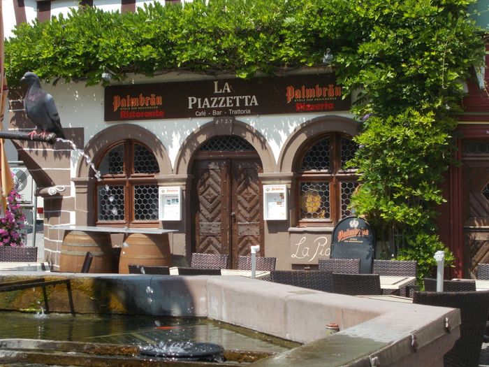 La Piazzetta Pizzeria-Trattoria