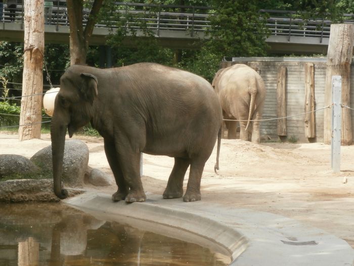 Nutzerbilder Karlsruher Zoo