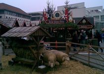 Bild zu Weihnachtsmarkt Ulm