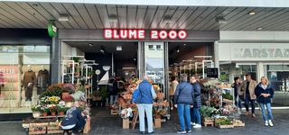 Bild zu BLUME2000 Bielefeld