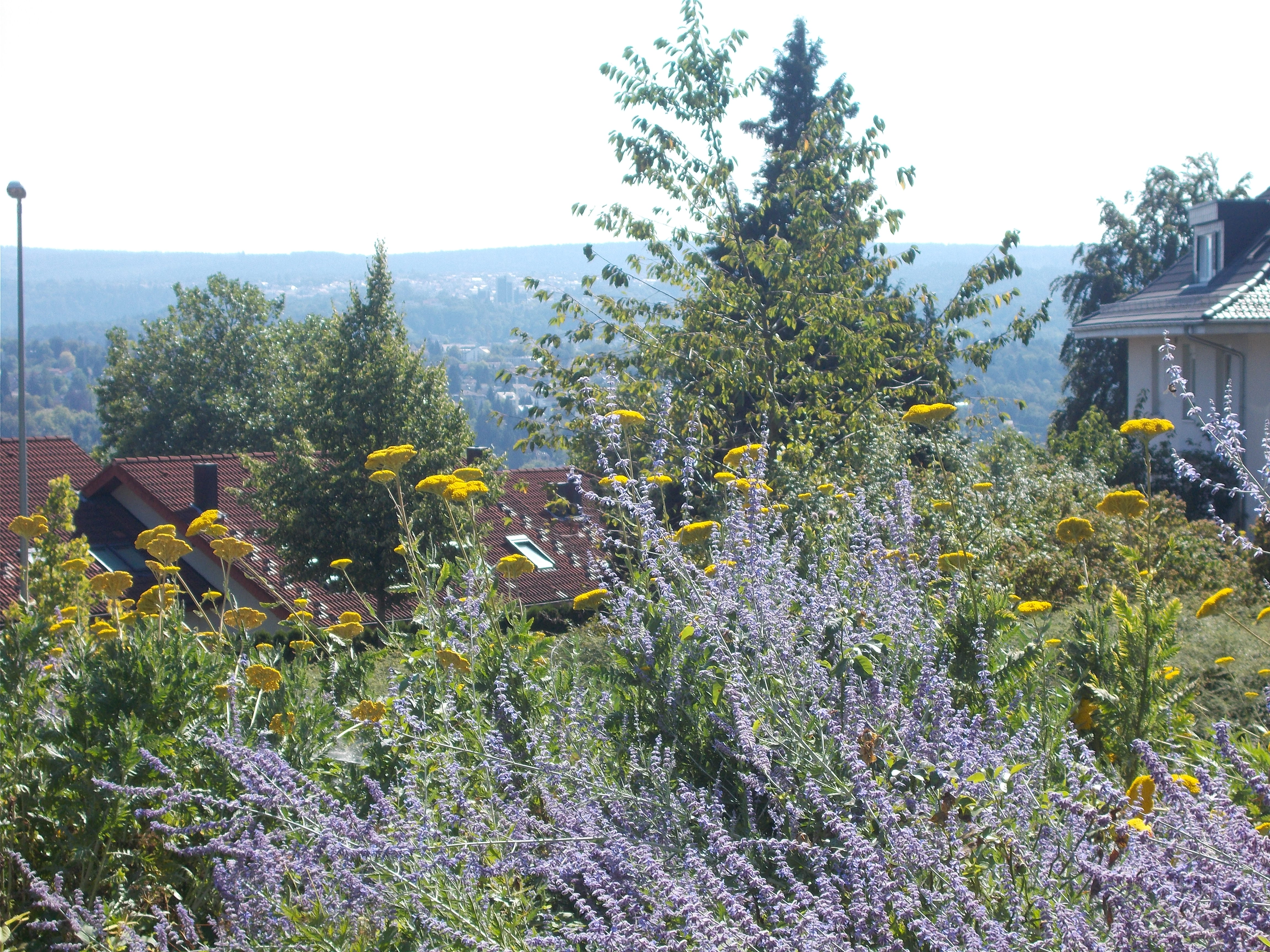 Blick von der Terrasse zu den höher gelegenen Stadtteilen