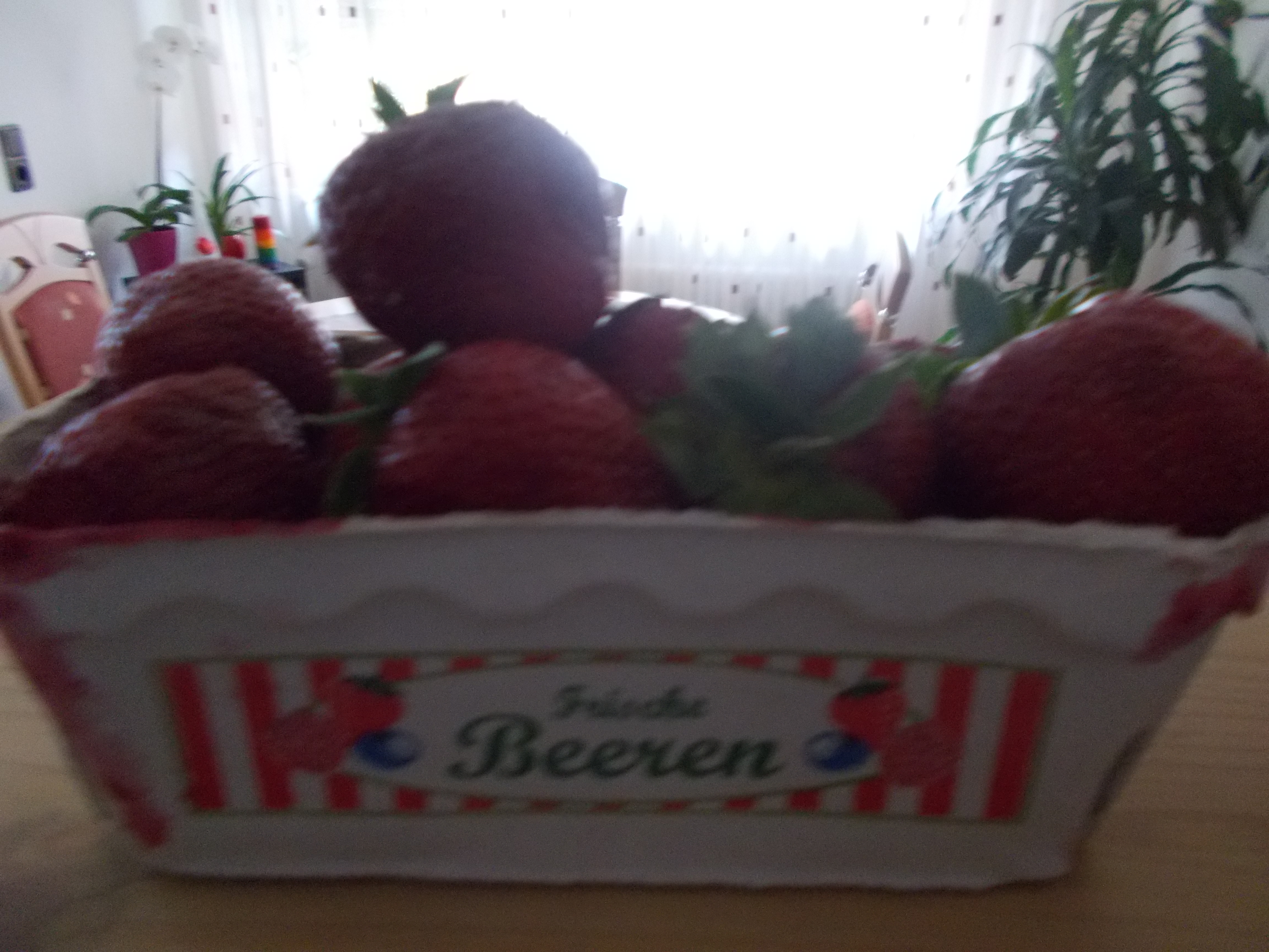 Bild 7 Erdbeer- und Spargelhof Böser in Forst