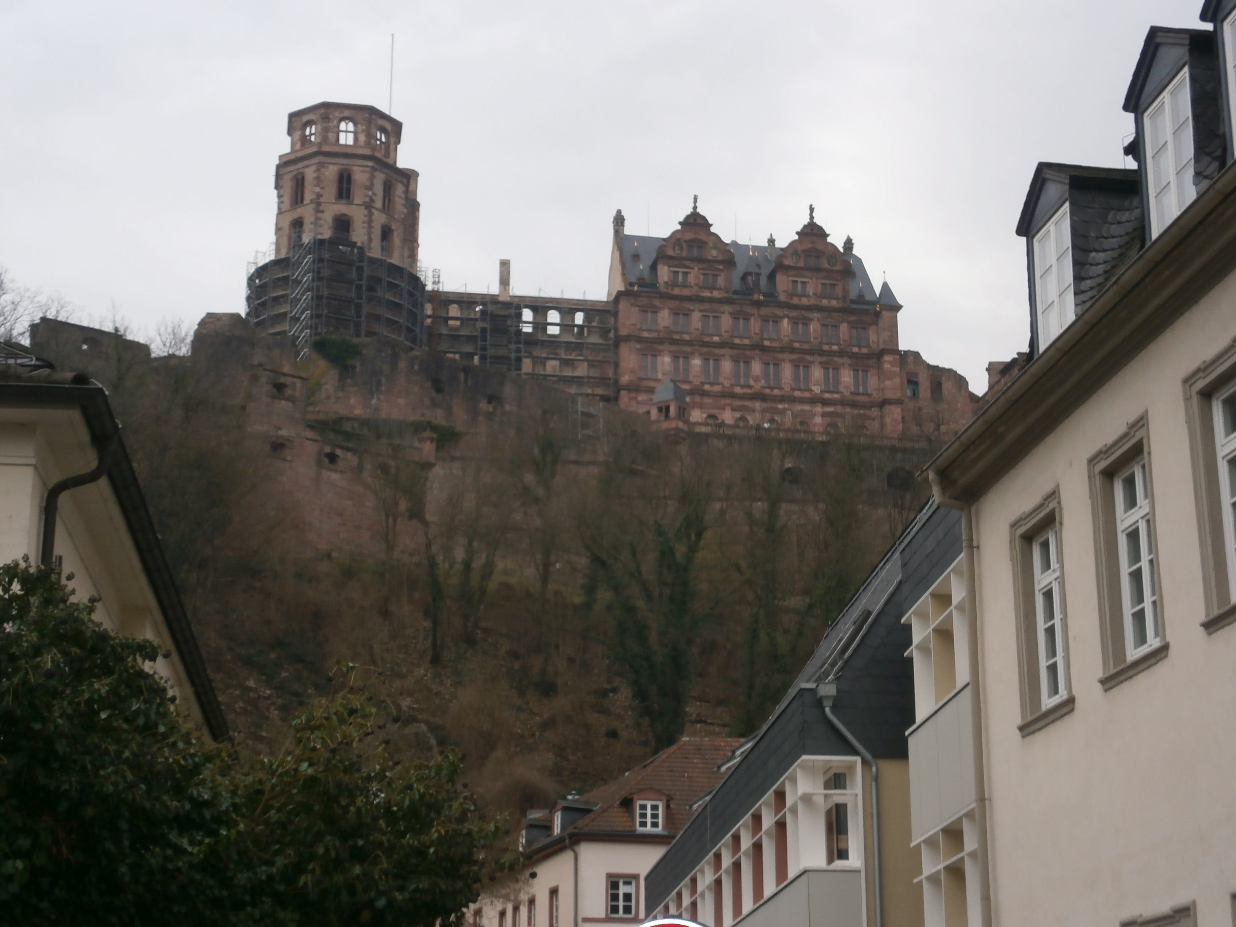 Bild 136 Schloss Heidelberg in Heidelberg