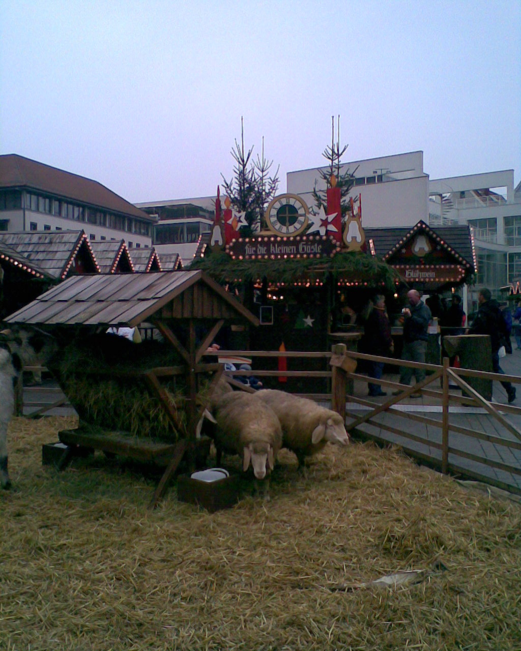 Bild 2 Tourist-Information Stadthaus Ulm in Ulm