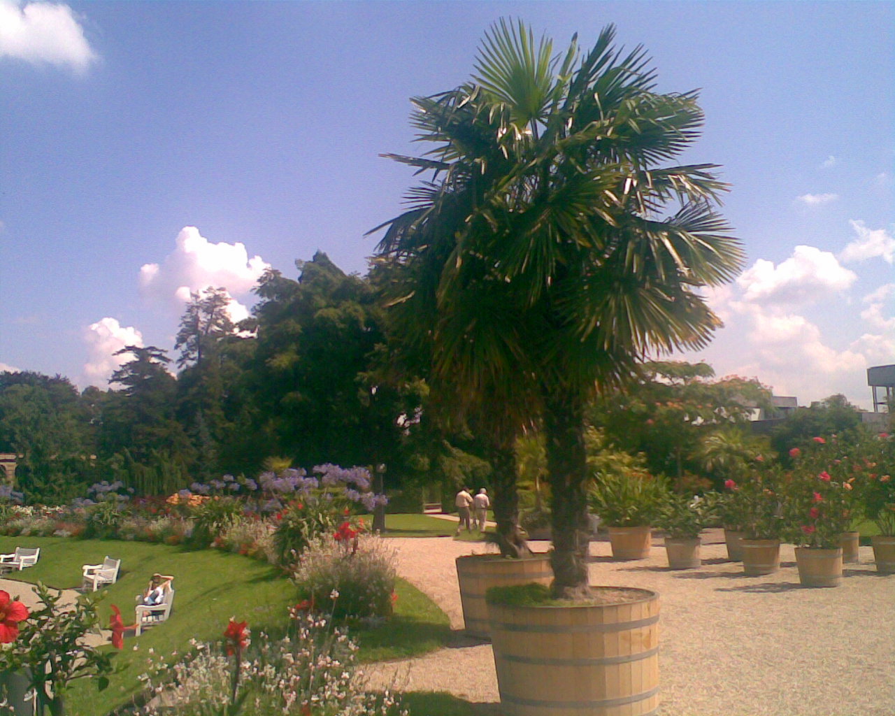 Botanischer Garten in Karlsruhe