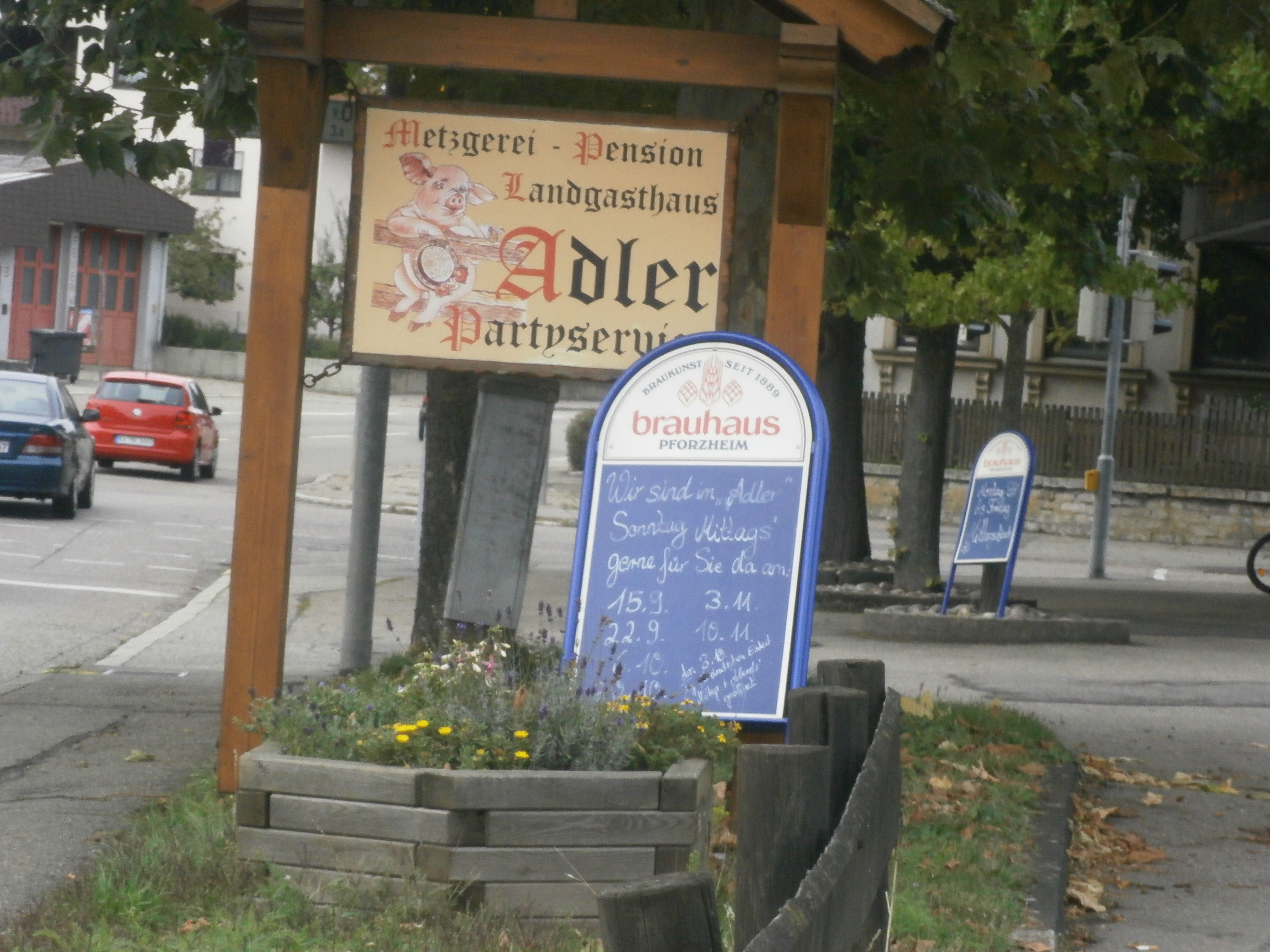 Bild 6 Adler in Neulingen