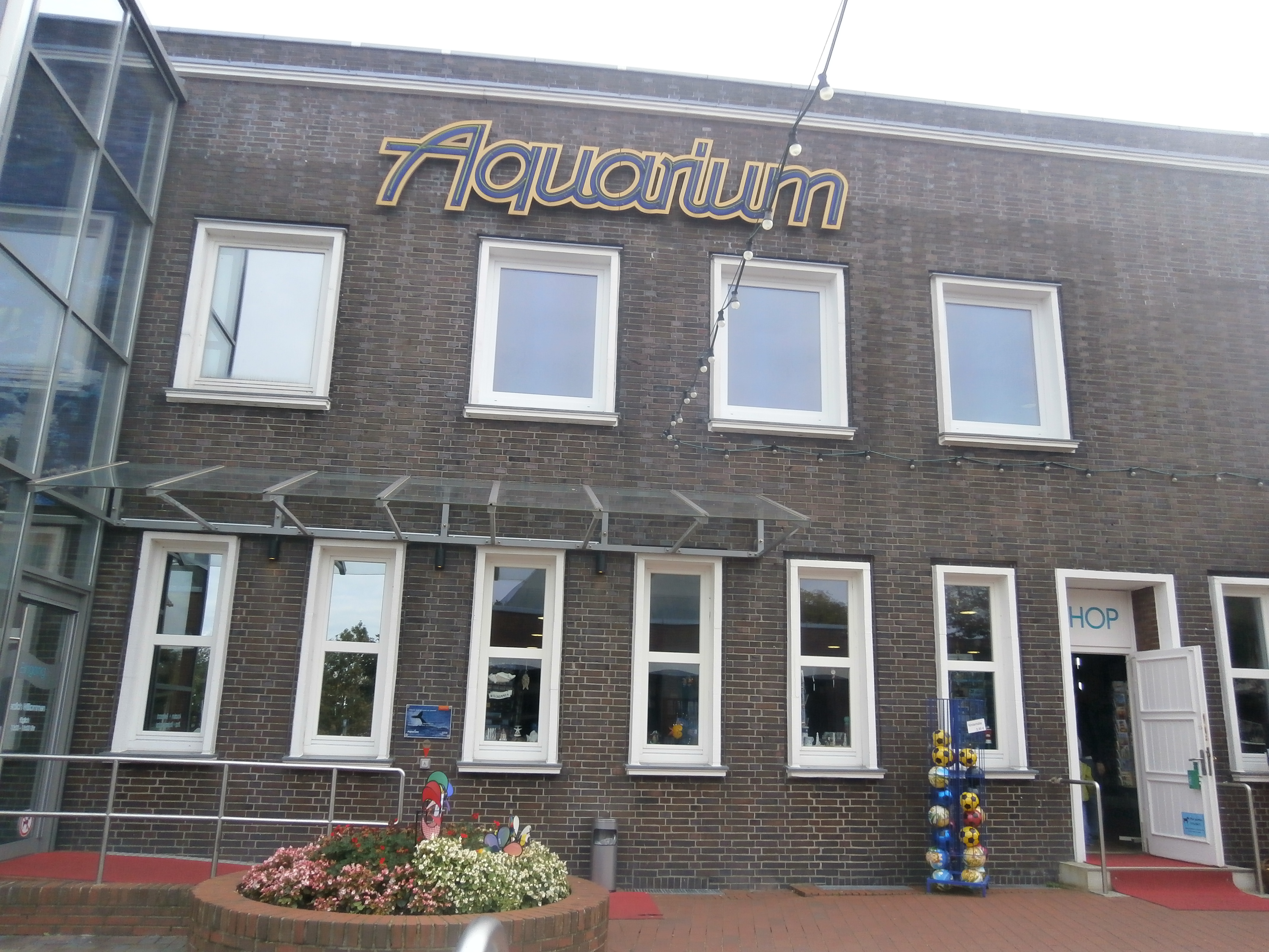 Bild 1 Aquarium Wilhelmshaven Bullermeck's in Wilhelmshaven