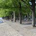 Tegeler See mit Greenwich Promenade in Berlin