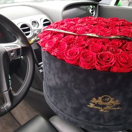 Royal Flowerbox mit 100 Infinity Rosen die über mehrere Jahre blühen.