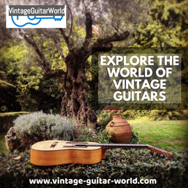www.vintage-guitar-world.com in Michelstadt