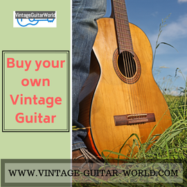 www.vintage-guitar-world.com in Michelstadt