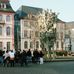 Fastnachtsbrunnen Stadt Mainz in Mainz