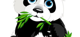 Bild zu Panda-Hosting UG