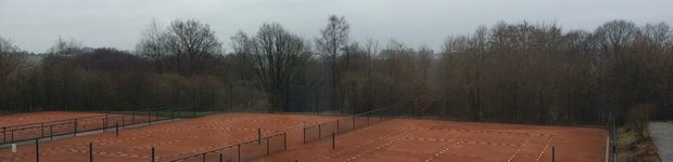 Bild zu Tennis-Club Grün-Weiss