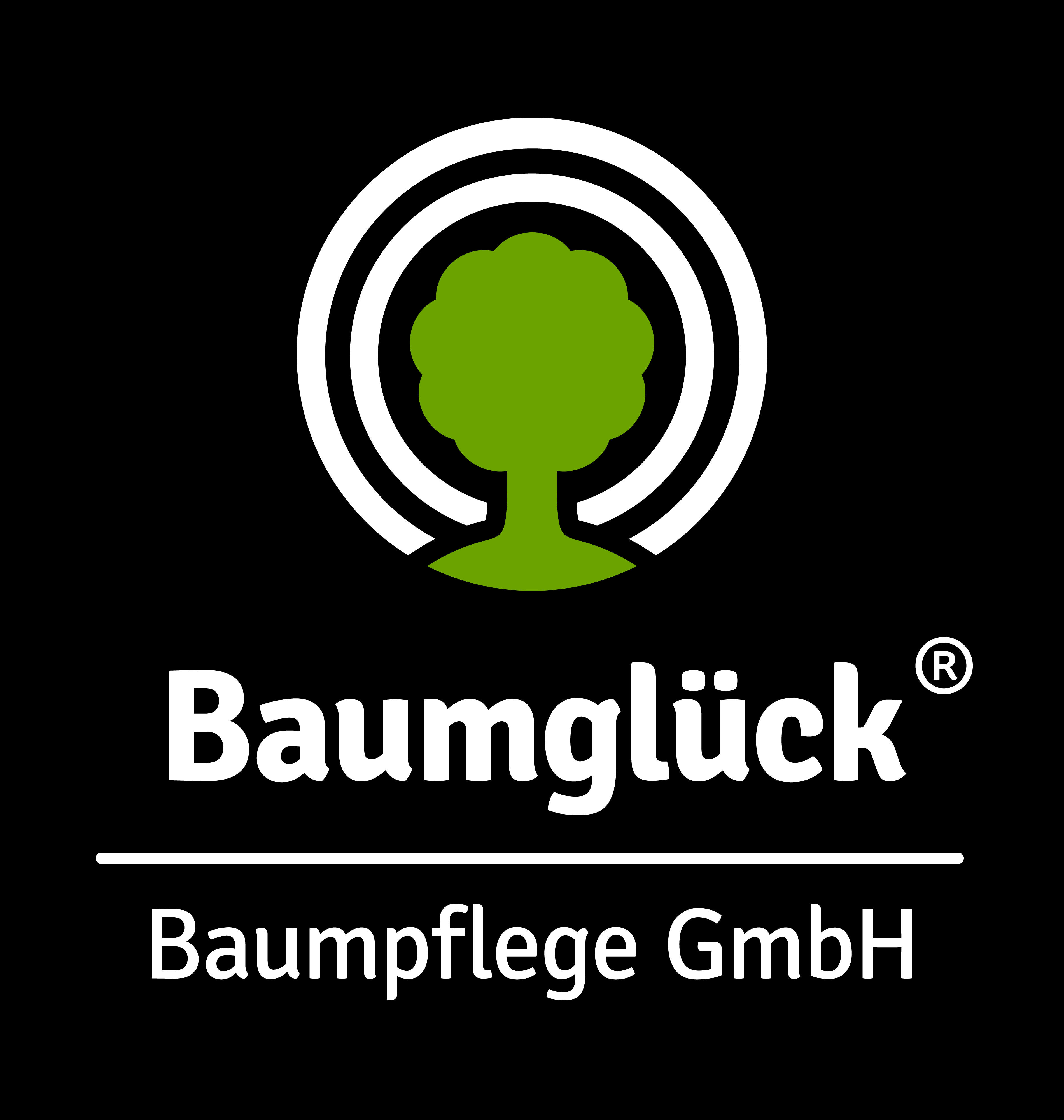 Bild 11 Baumglück Baumpflege GmbH in München