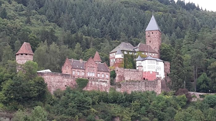 Die Burg in Zwingenberg am Neckar
