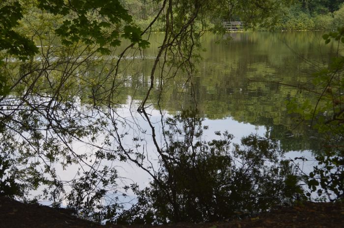 Nutzerbilder Lehrkabinett Teufelssee