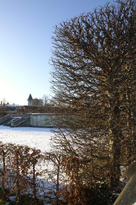 Bild 5 Barockgarten Großsedlitz in Heidenau