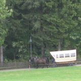 Pferdefuhrgeschäft Inh. Christoph Kaufmann in Kurort Oberwiesenthal