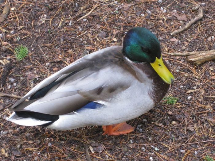 Nutzerbilder Münchener Tierpark Hellabrunn