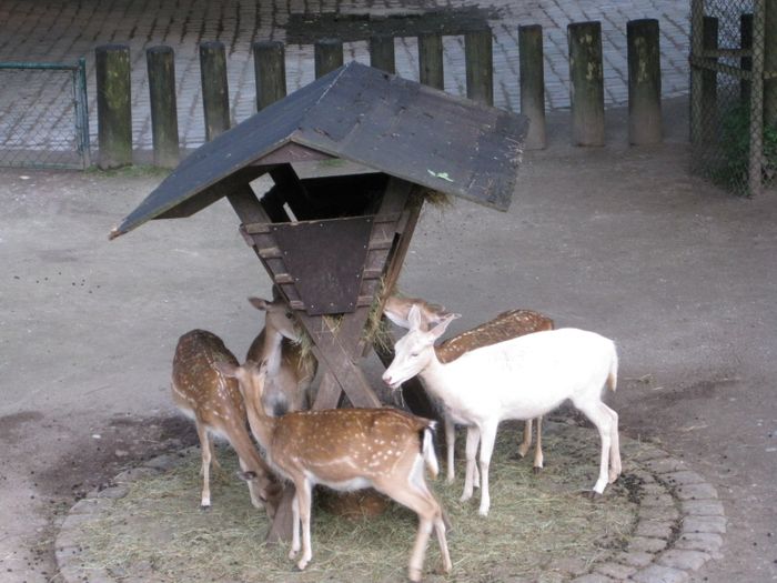 Nutzerbilder Münchener Tierpark Hellabrunn