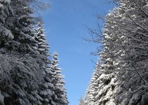 Bild zu Hotel Brockenscheideck