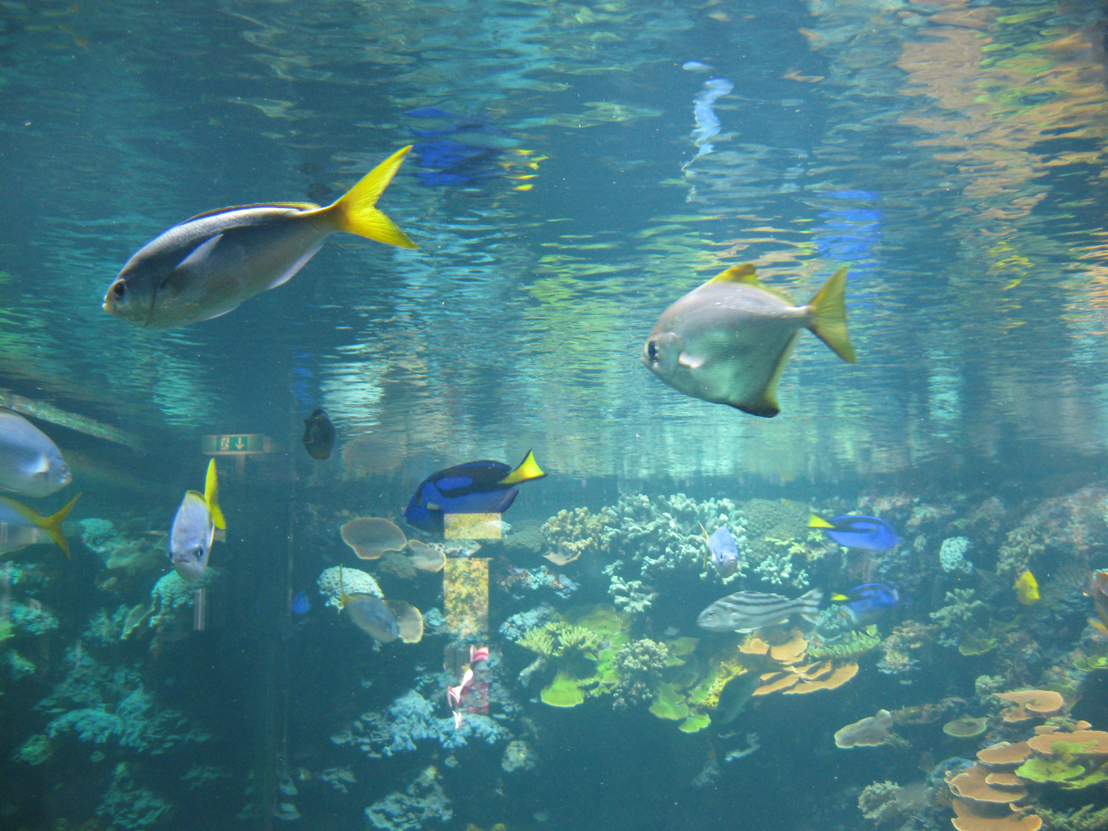 Aquarium in Hellabrunn
