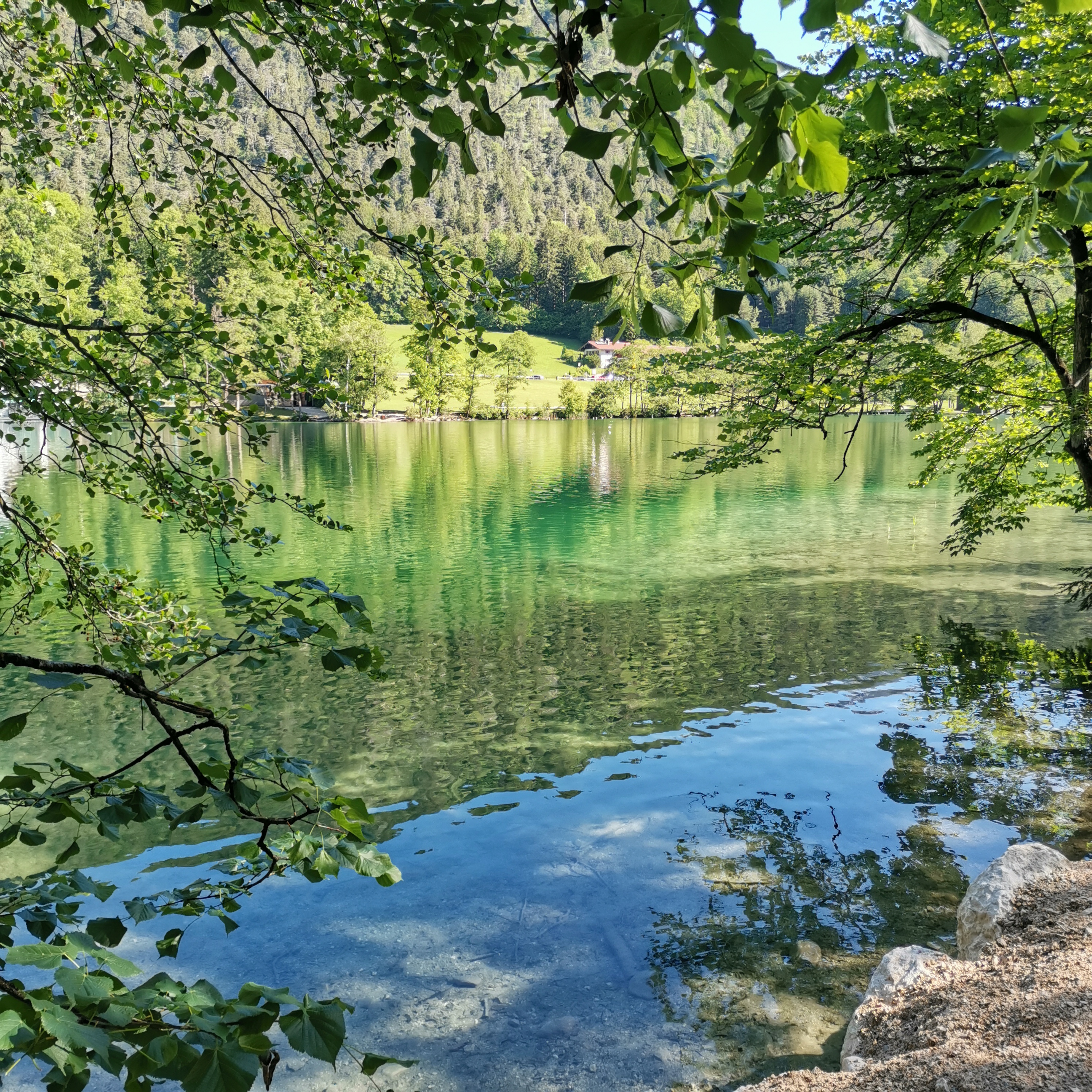 Bild 3 Oechsner Thumsee in Bad Reichenhall