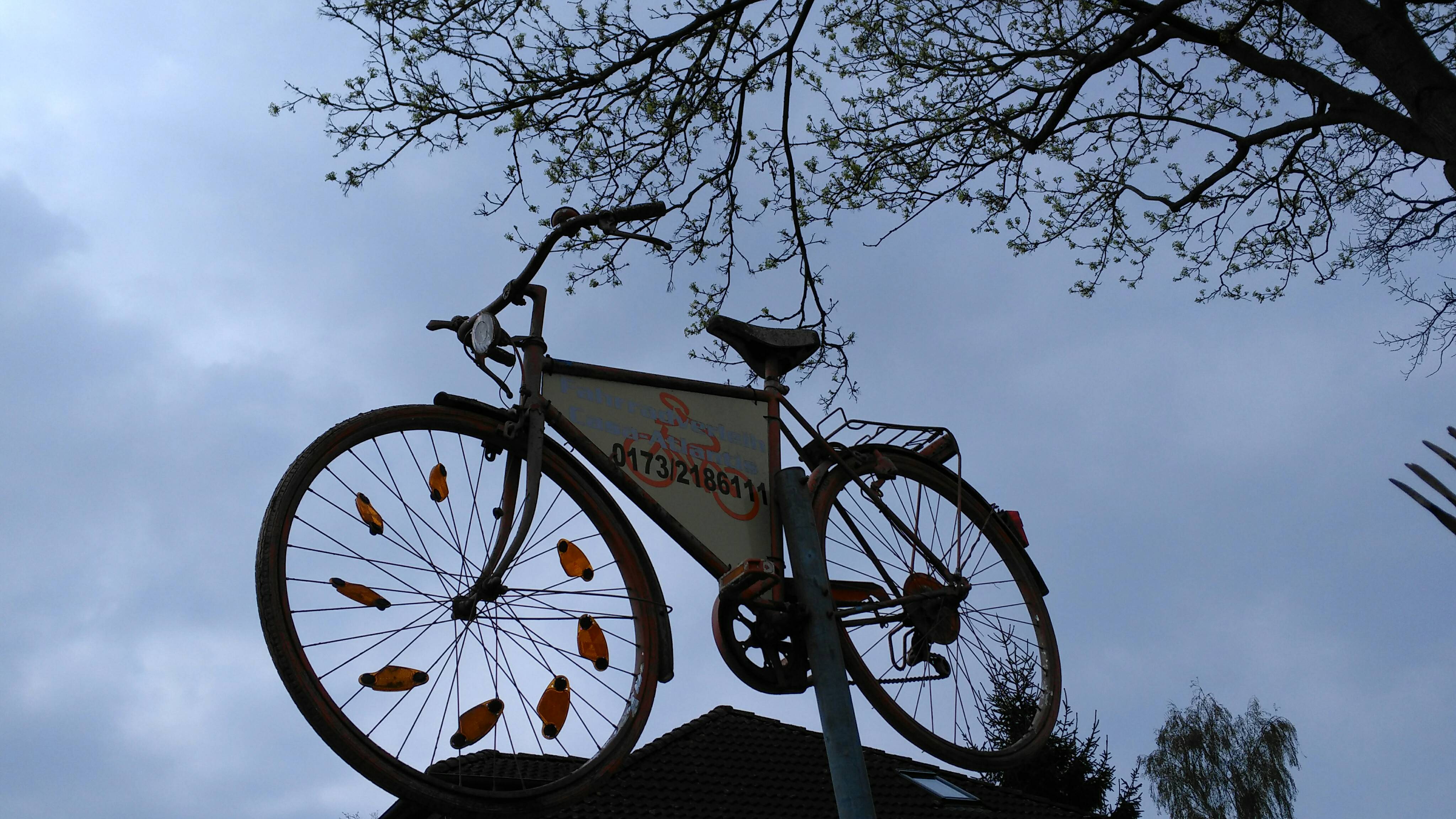 Bild 1 Fahrradverleih Casa-Atlantis in Baabe Ostseebad