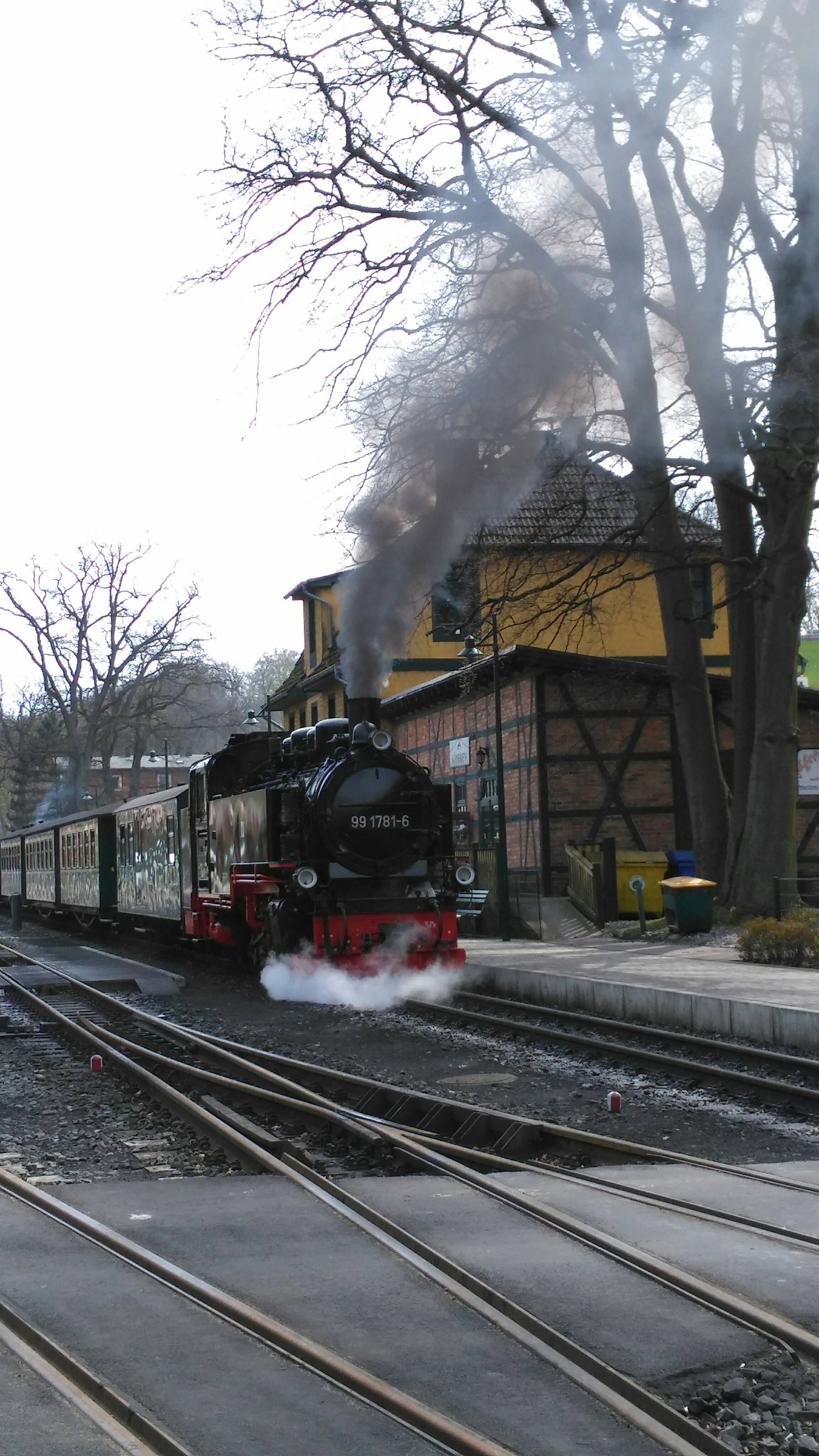 Bild 2 Rasender Roland Rügensche Bäderbahn in Göhren, Ostseebad