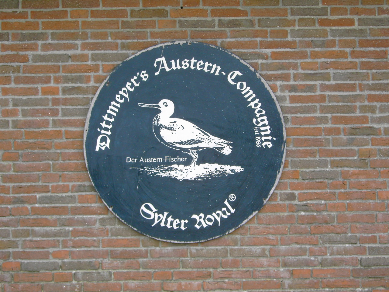 Dittmeyer's Austern Compagnie in List auf Sylt