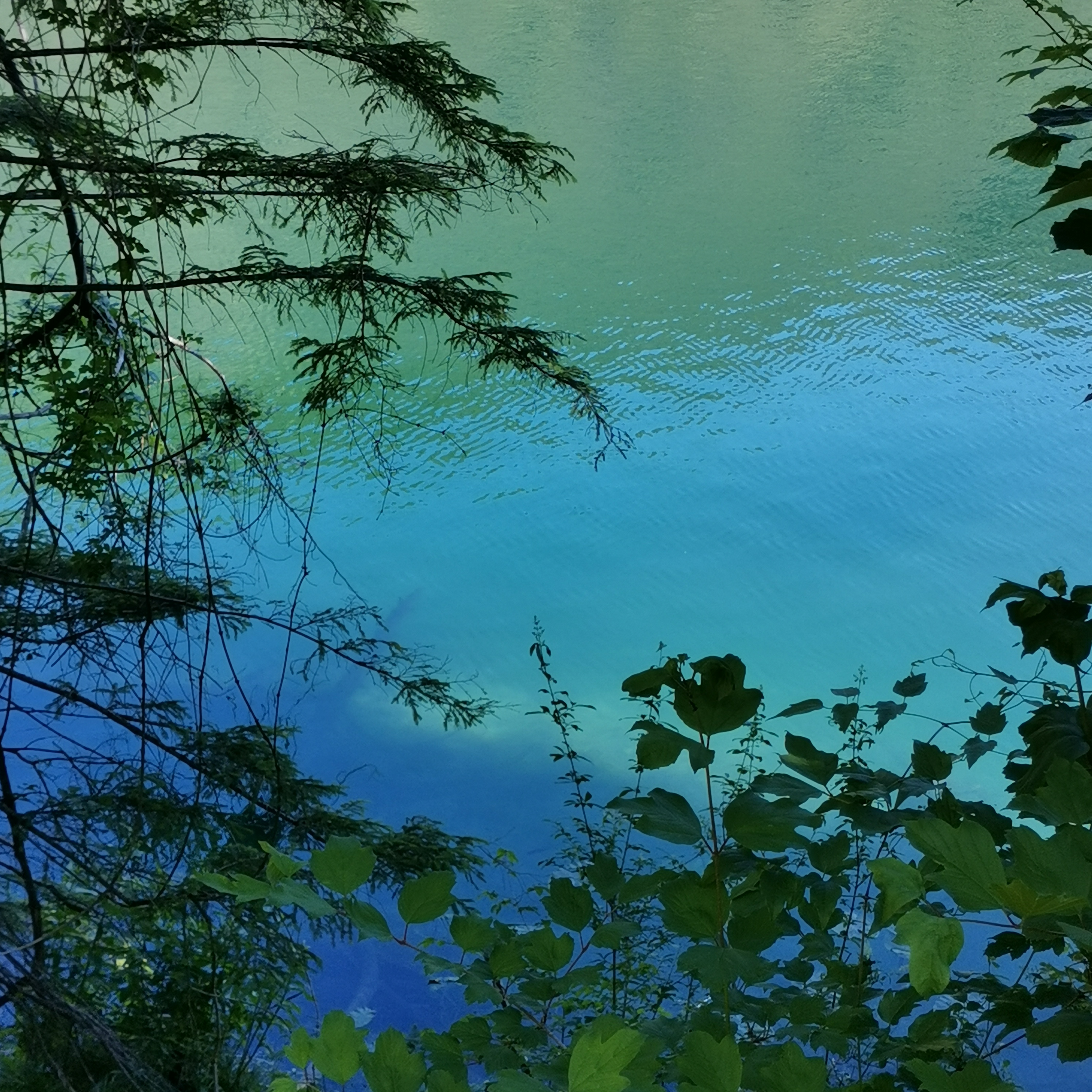 Bild 10 Oechsner Thumsee in Bad Reichenhall